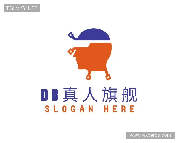 认识DB旗舰官网